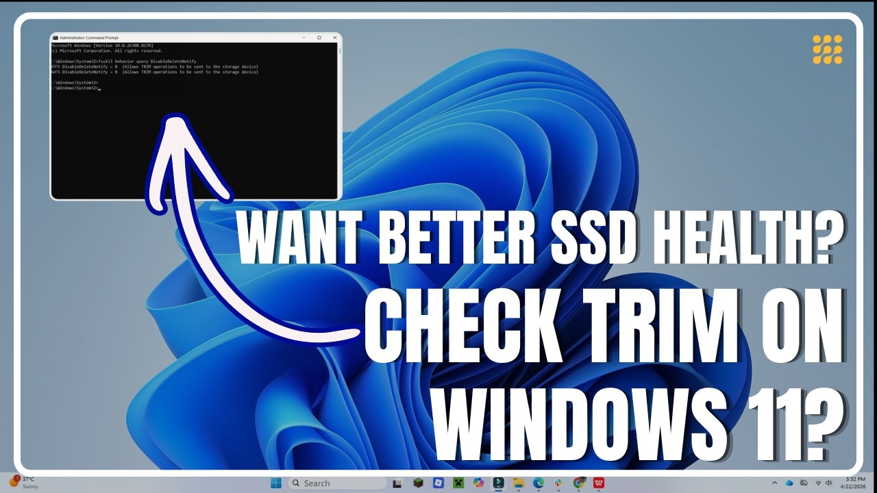 Want Better SSD Health? Check TRIM on Windows 11?