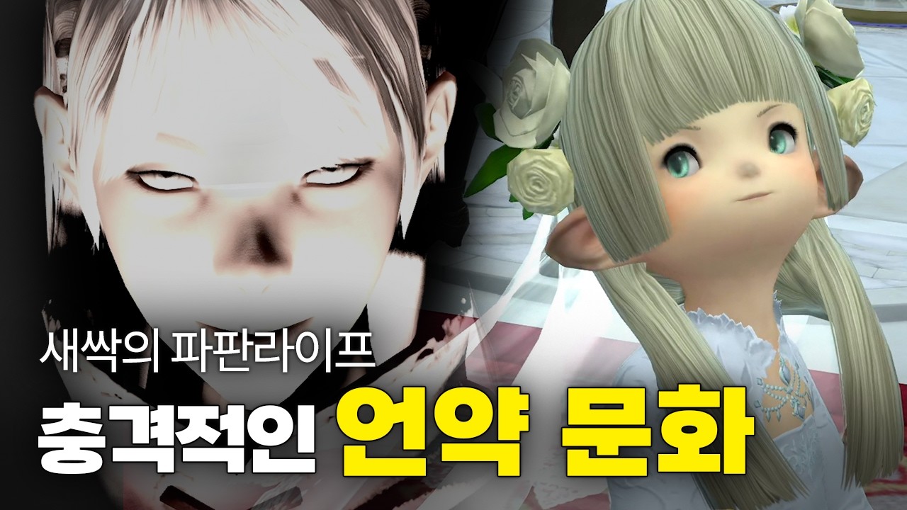 10년 전통 충격적인 파판 문화 | 파이널 판타지14