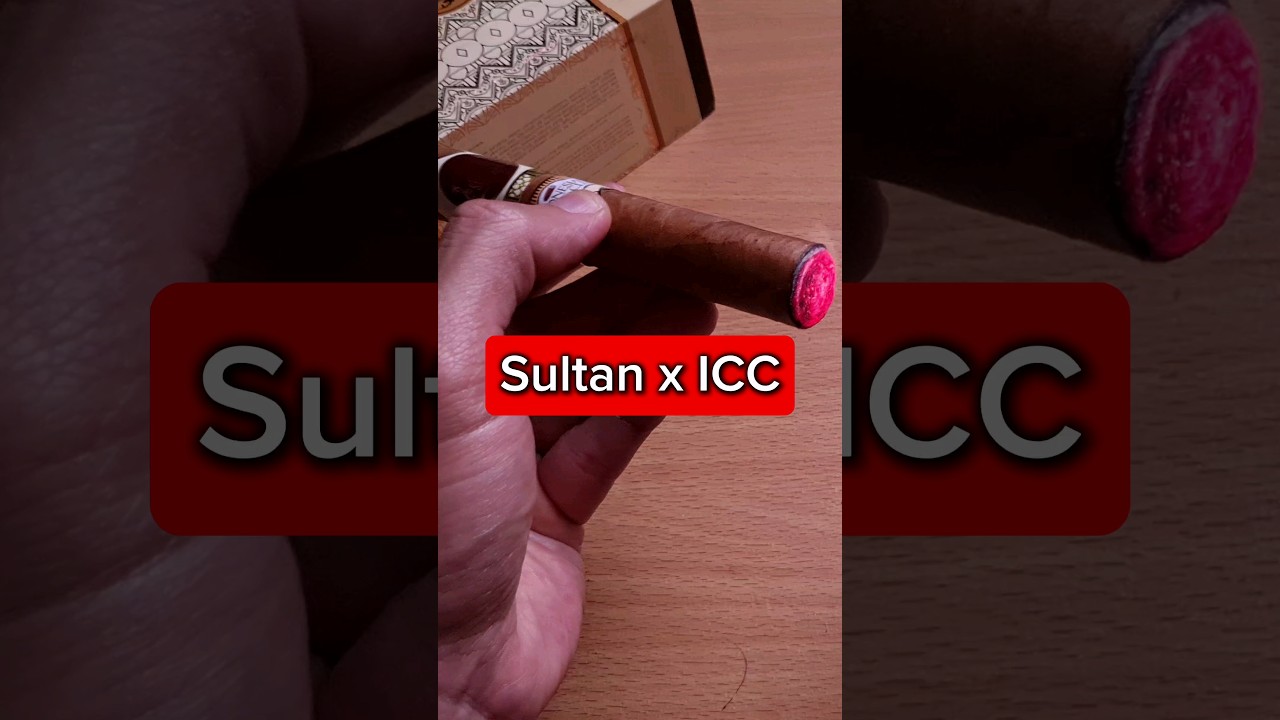 Review Cerutu Sultan Cigar x Indonesian Cigars Club