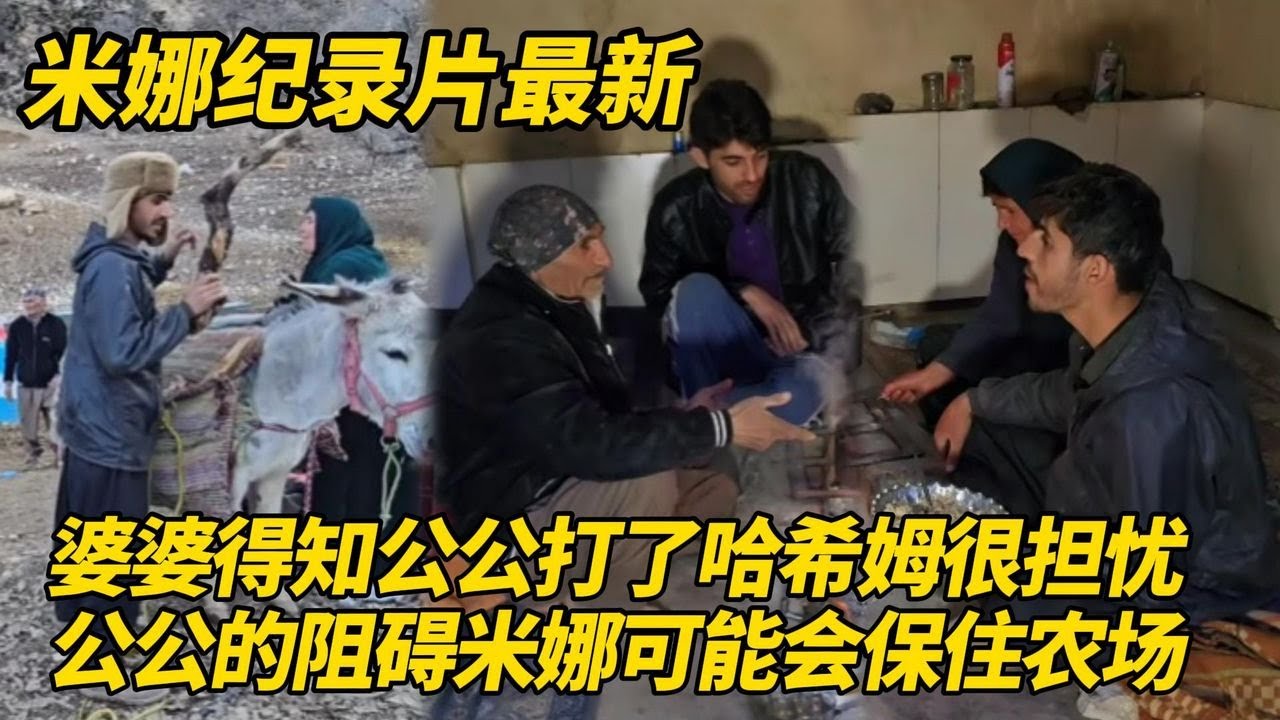 公公回到山上告诉家人自己打了哈希姆！婆婆感到震惊她替米娜担忧，因为公公的阻碍米娜可能会保住农场！#纪录片 #伊朗游牧民生活