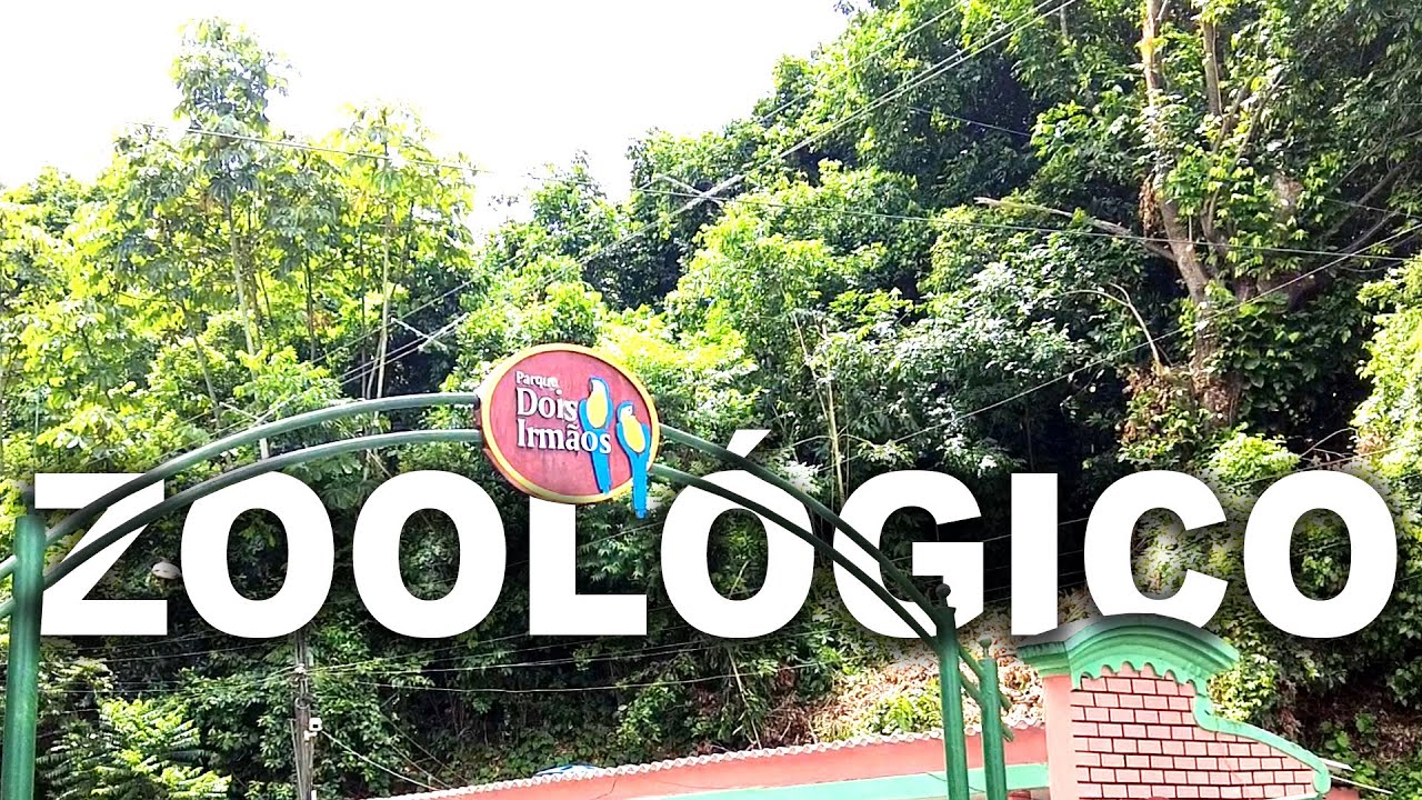 PARQUE DOIS IRMÃOS - Zoológico em Recife PE ‹ Lilo Barbosa ›