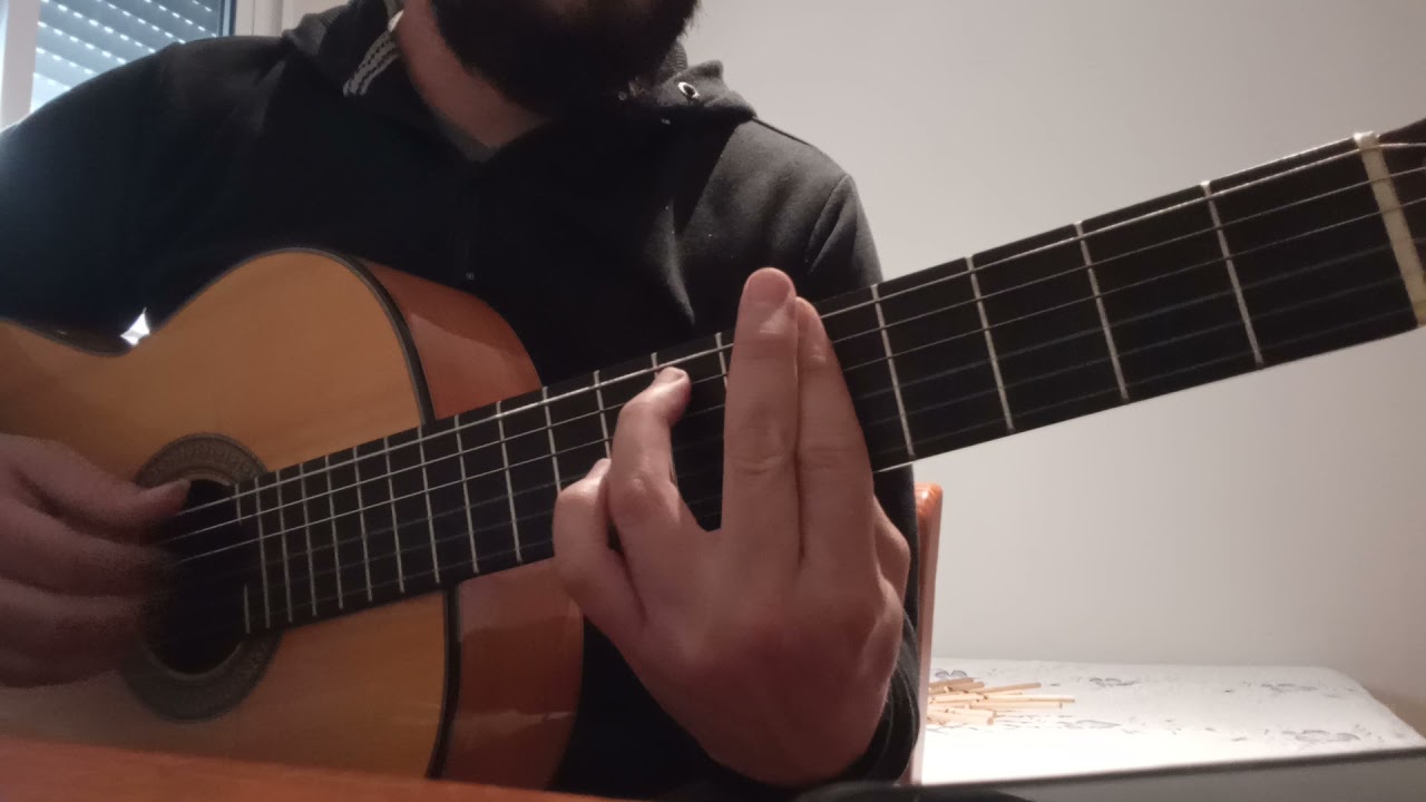 Guitarra Avanzado 58 Flor de lis