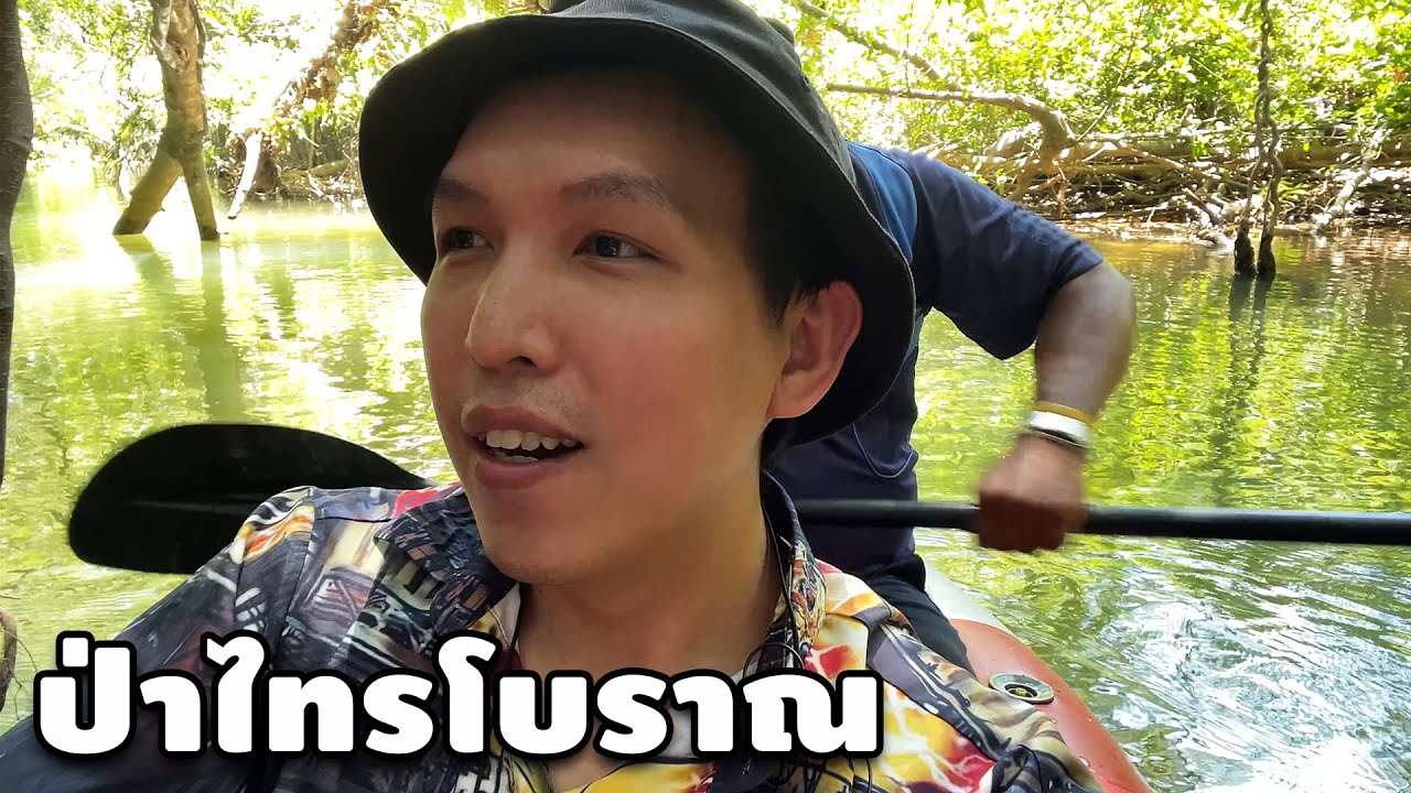 Little Amazon ป่าไทรโบราณ คลองสังเน่ห์ ( พังงา | Phangnga, Thailand )