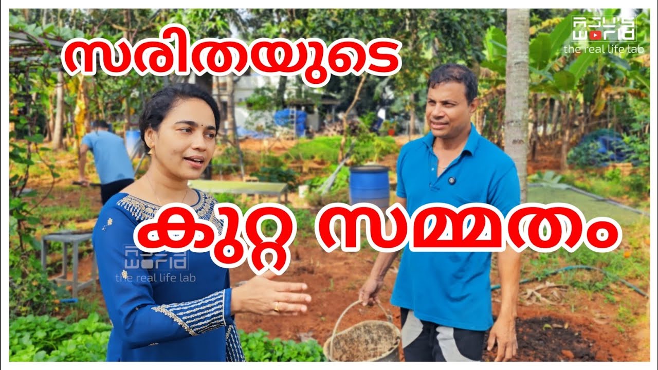 സരിത കുറ്റം സമ്മതിച്ചു.. 😔 /  Vegetable harvest /onion Krishi /Agriculture tips /Family vlog 