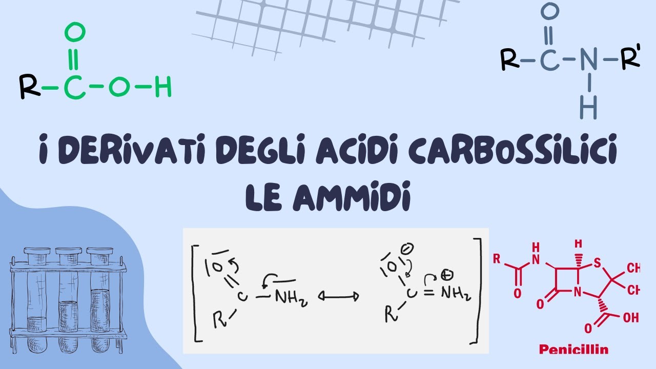 I derivati degli acidi carbossilici Le ammidi