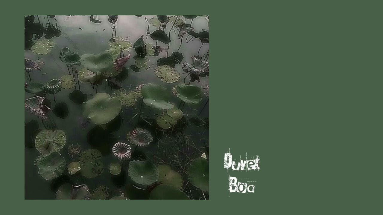 ☆・ fairy grunge playlist ・☆