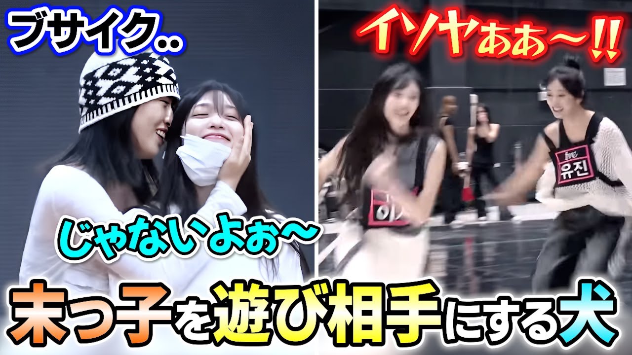 遊び相手のユジンが海外出張でいなくて寂しがるイソが可愛い