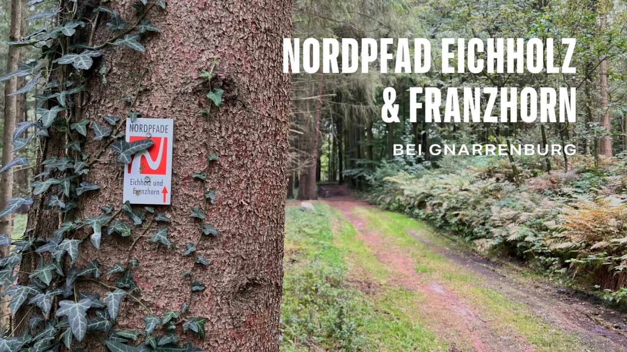 Nordpfad Eichholz und Franzhorn bei Gnarrenburg