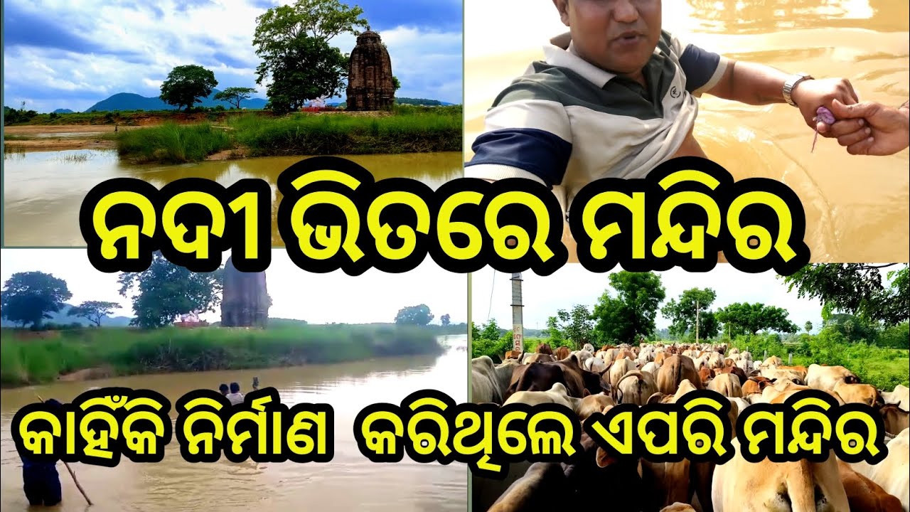 ନଦୀ ଭିତରେ ମନ୍ଦିର // କାହିଁକି ନିର୍ମାଣ କରିଥିଲେ ଏ ମନ୍ଦିର କୁ // kapileswar temple kamakhya #sanjayavlogs