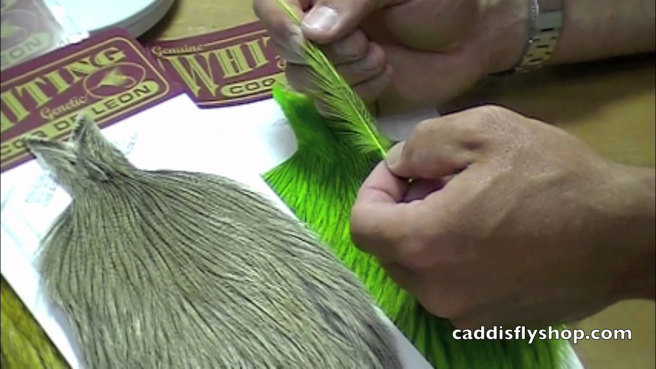 Whiting Coq De Leon Cape Product Video