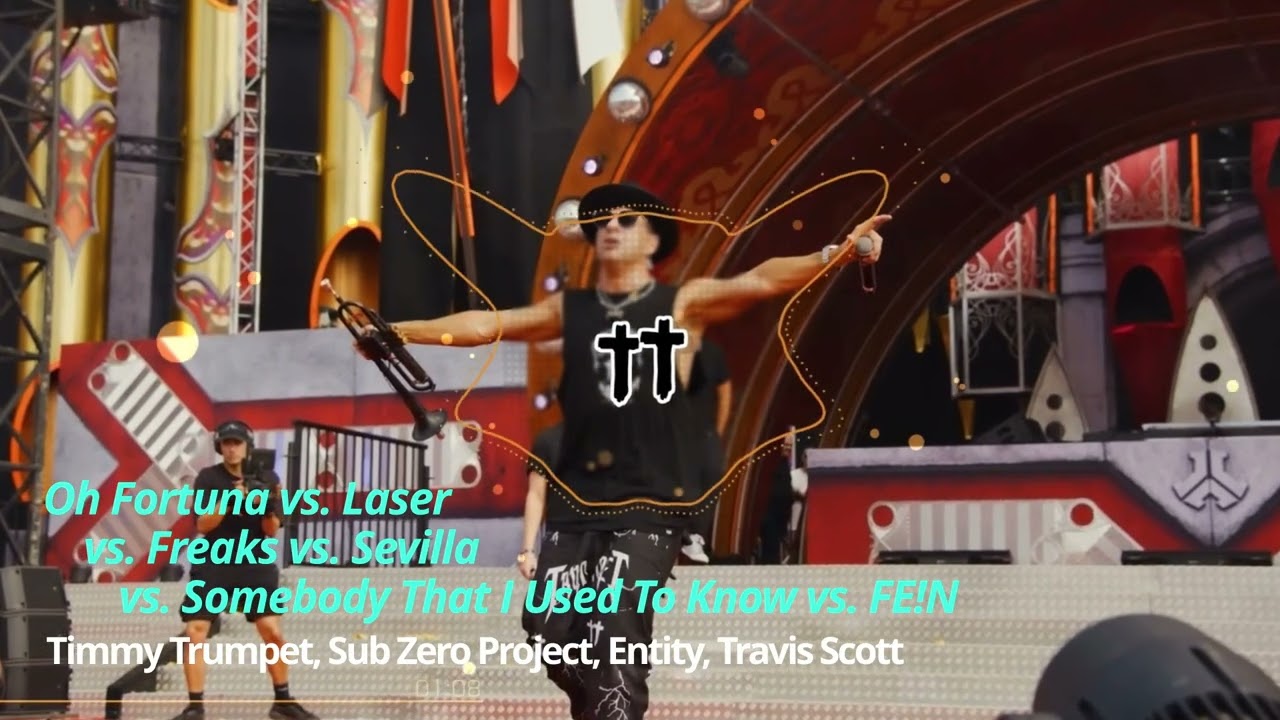 Oh Fortuna vs. Laser vs. Freaks vs. Somebody That I Used To Know / Timmy Trumpet 2025 Mashup