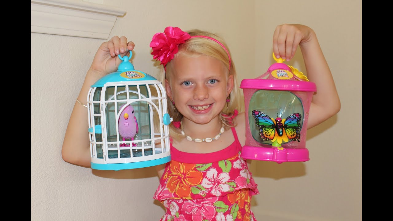 Little Live Pets Bird & Butterfly Playtime Review