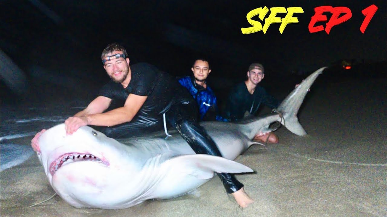 Shark Fishing Florida - PART 1 (800LB TIGER SHARK)