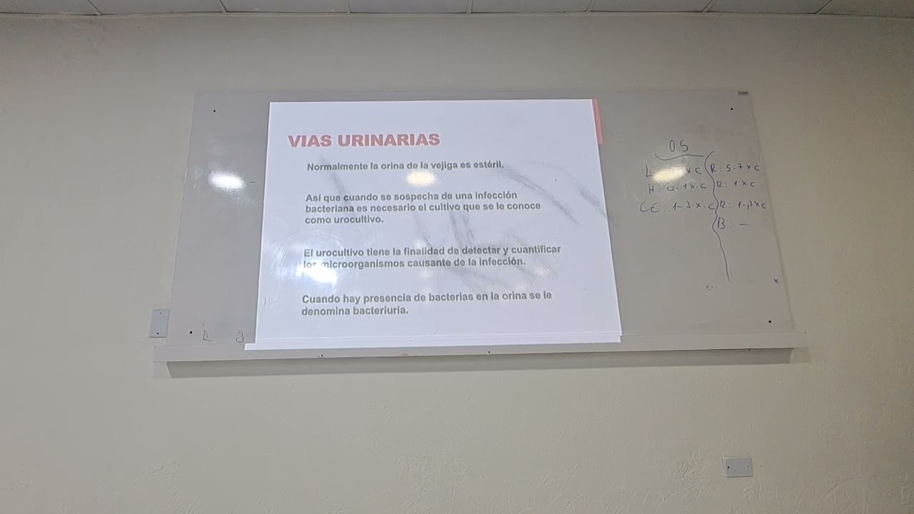 Microbiologia 1 - 27fev