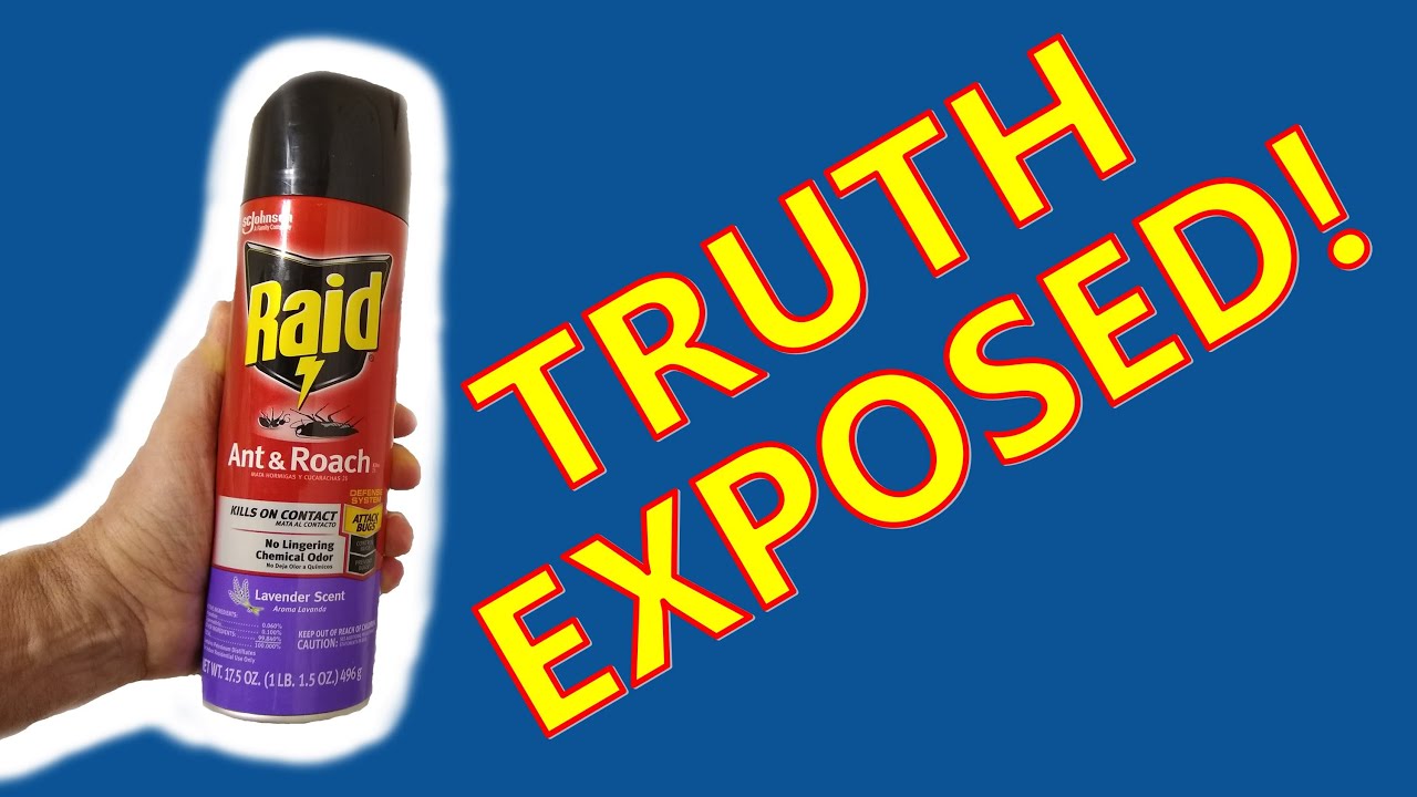 НИКОГДА не делайте ЭТОГО с Raid Ant и Roach Killer!!!! Вы ОБЯЗАТЕЛЬНО должны смотреть, если испол...