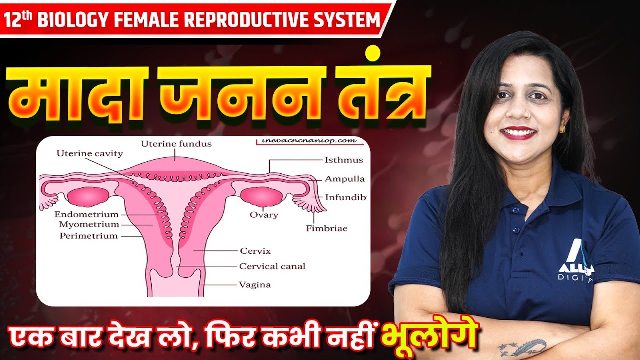 मादा जनन तंत्र Class 12 Biology✅  मानव जनन | Female Reproductive System Diagram With Explanation
