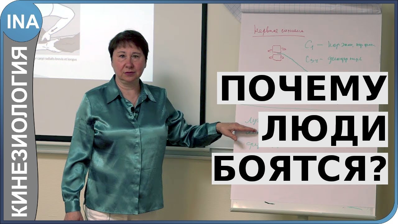 Почему люди боятся? Прикладная кинезиология. Л.Ф.Васильева