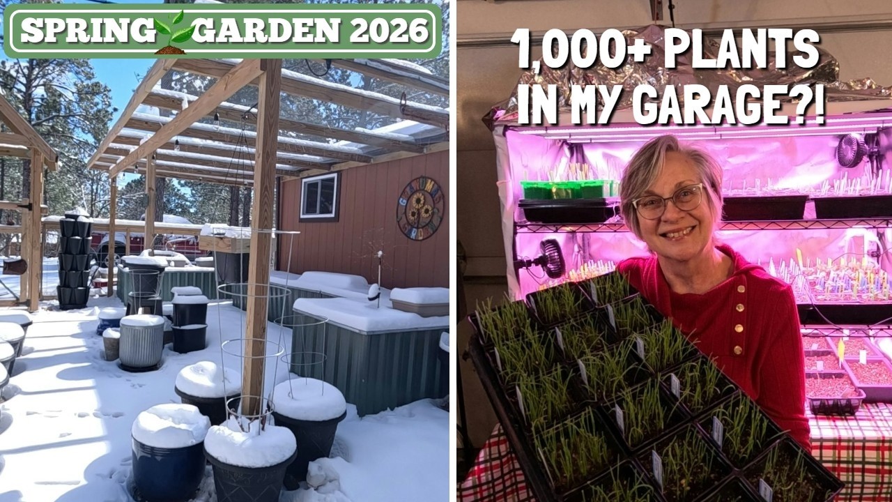 Spring Starts in My Garage (1000+ Plants Already!)