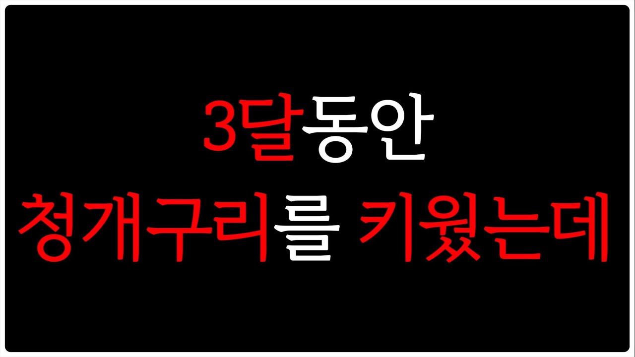 제가 이번엔...결국...