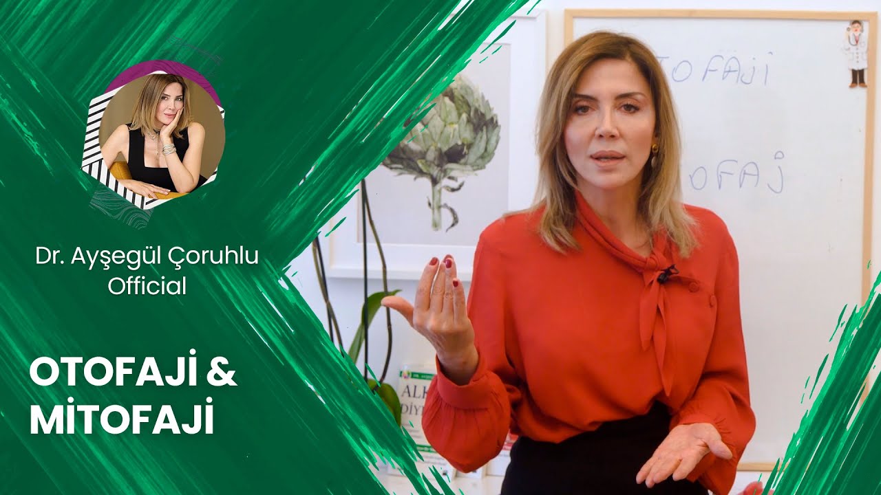 Otofaji & Mitofaji - Ayşegül Çoruhlu