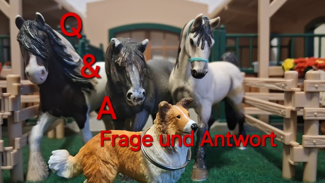 Ihr habt mir Fragen gestellt! |Schleich5302 Q&A
