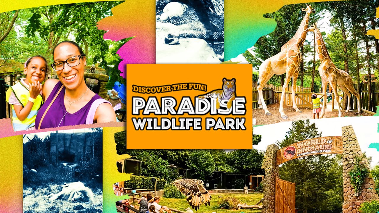 AT THE ZOO video | FUN Exploring PARADISE WILDLIFE PARK - UK Zoo  #newvideo