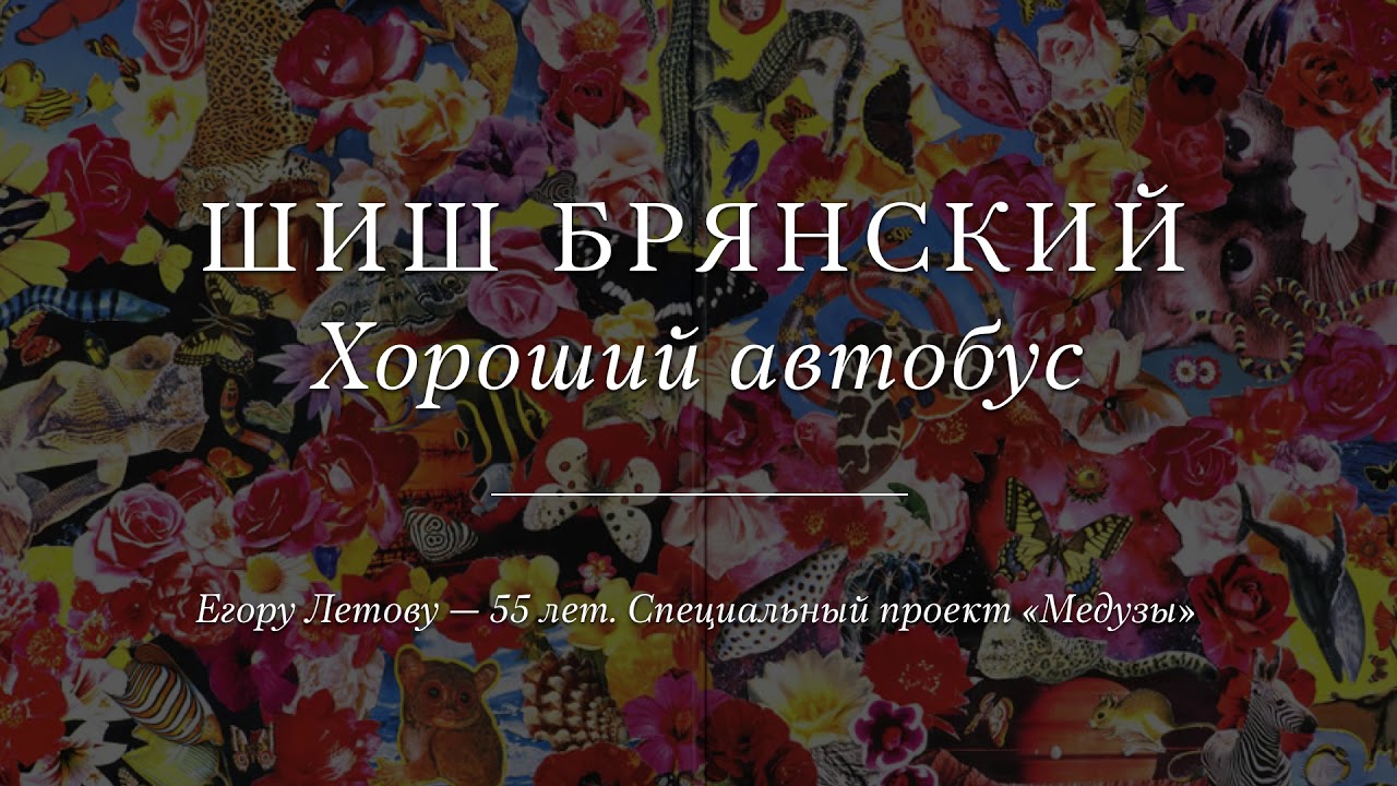 Шиш Брянский «Хороший автобус»