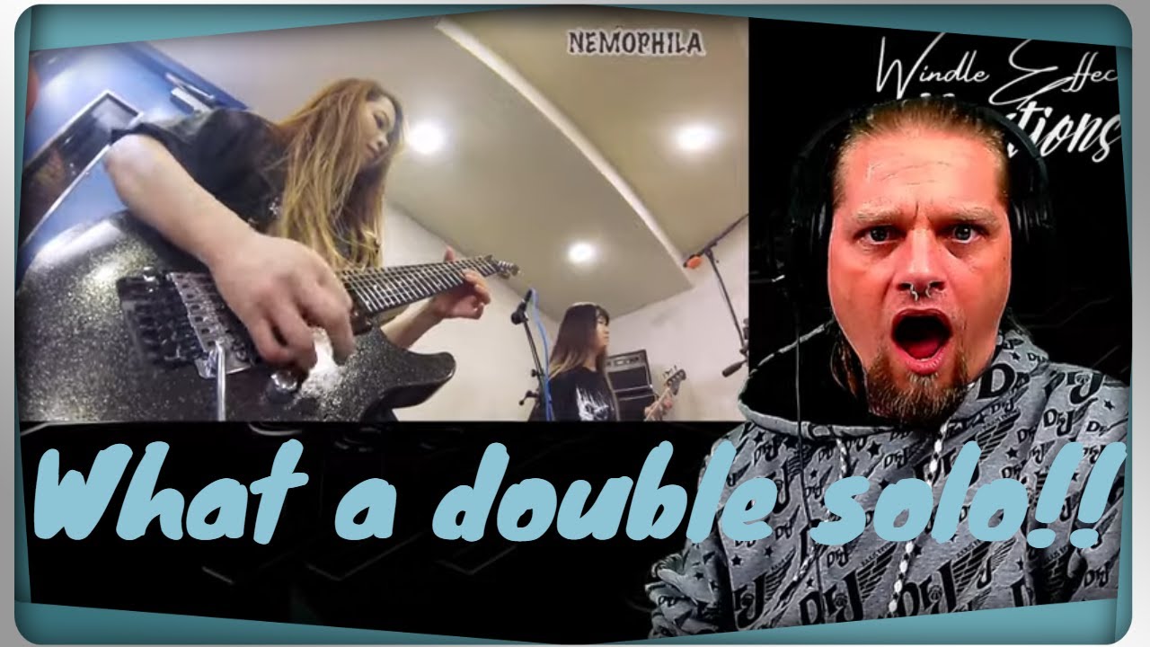 「OIRAN」(YouTube ver.) | @NEMOPHILA_Tokyo | WindleEffect | Reaction