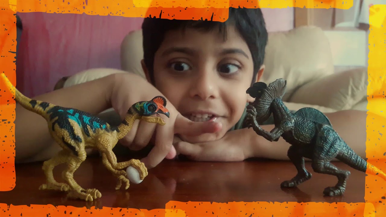 Dinosaur Beginner Fact Guide