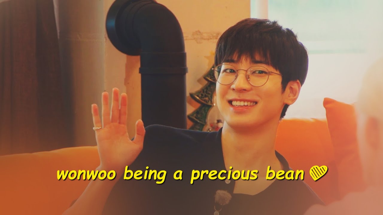 random reasons to love wonwoo (part 1)