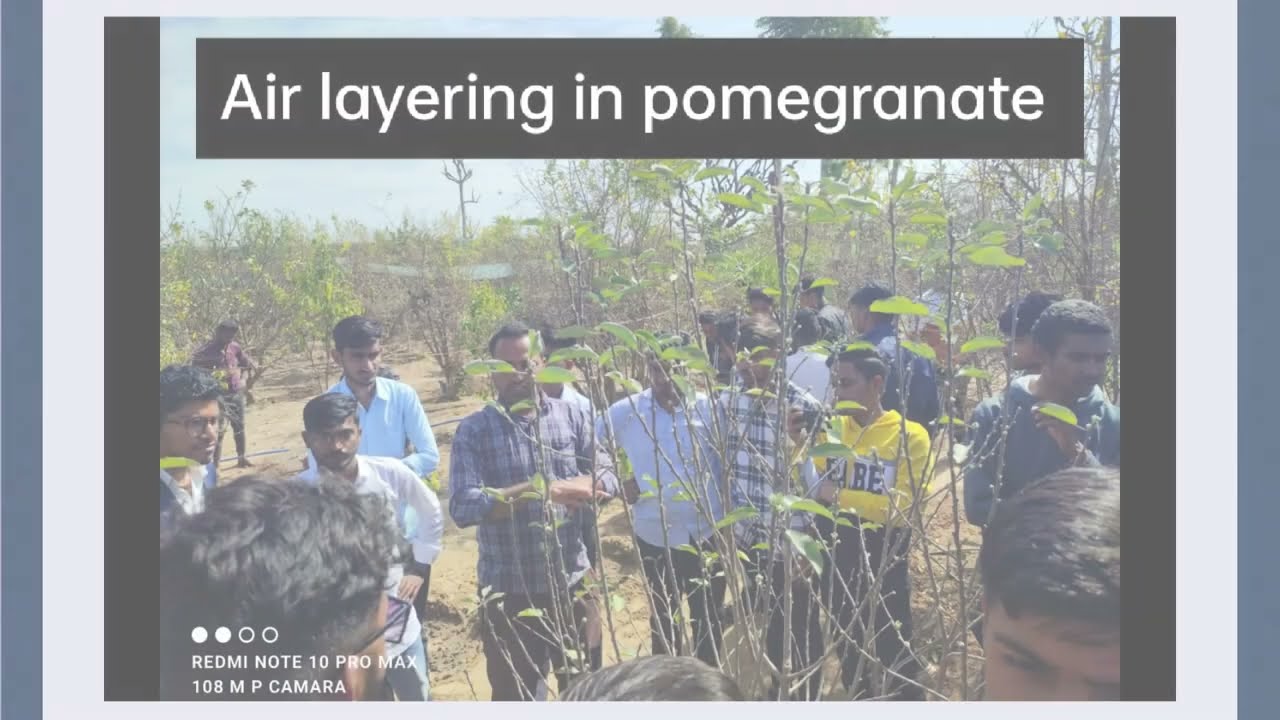 🌾 Explore Shridhar University's Agricultural Farm | A Journey into Sustainable Farming 🌟