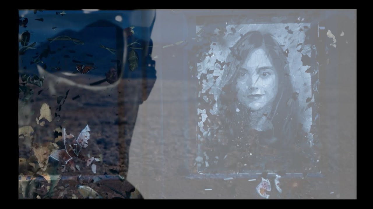 Clara (a Pretty Women Parody) Tribute for Ms. Oswald - by Legs Nose Robinson (Doctor Who S9)