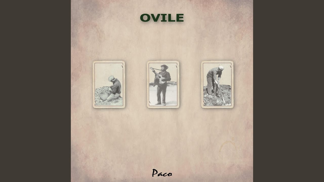 Ovile
