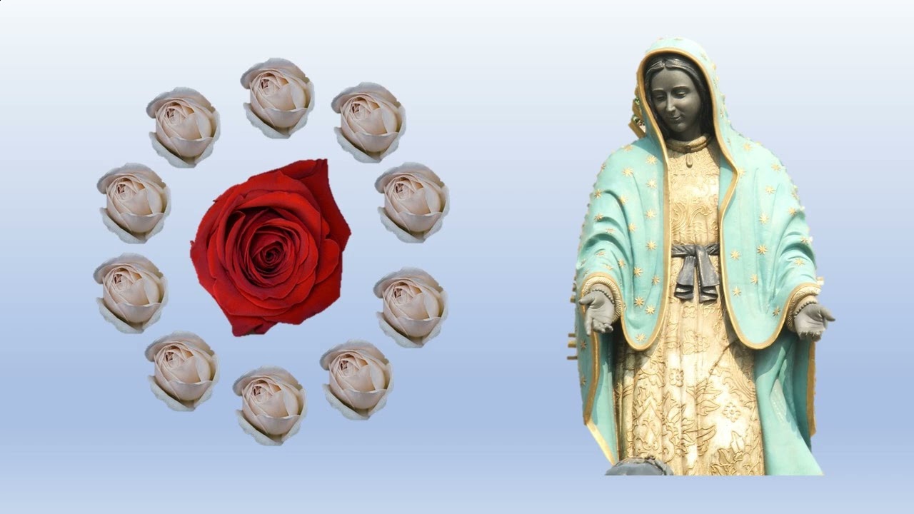 Santo Rosario Miércoles 11 de marzo 2026