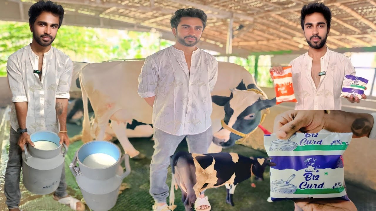 அமெரிக்காவில் IT பணியை விட்டு இந்தியாவில் Dairy farm வைத்து சாதித்த இளைஞர் |  Siva Arun Tv
