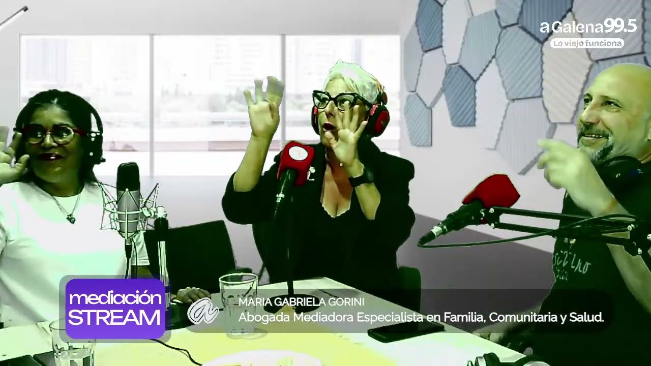 MEDIACIÓN STREAM | MARIA GABRIELA GORINI