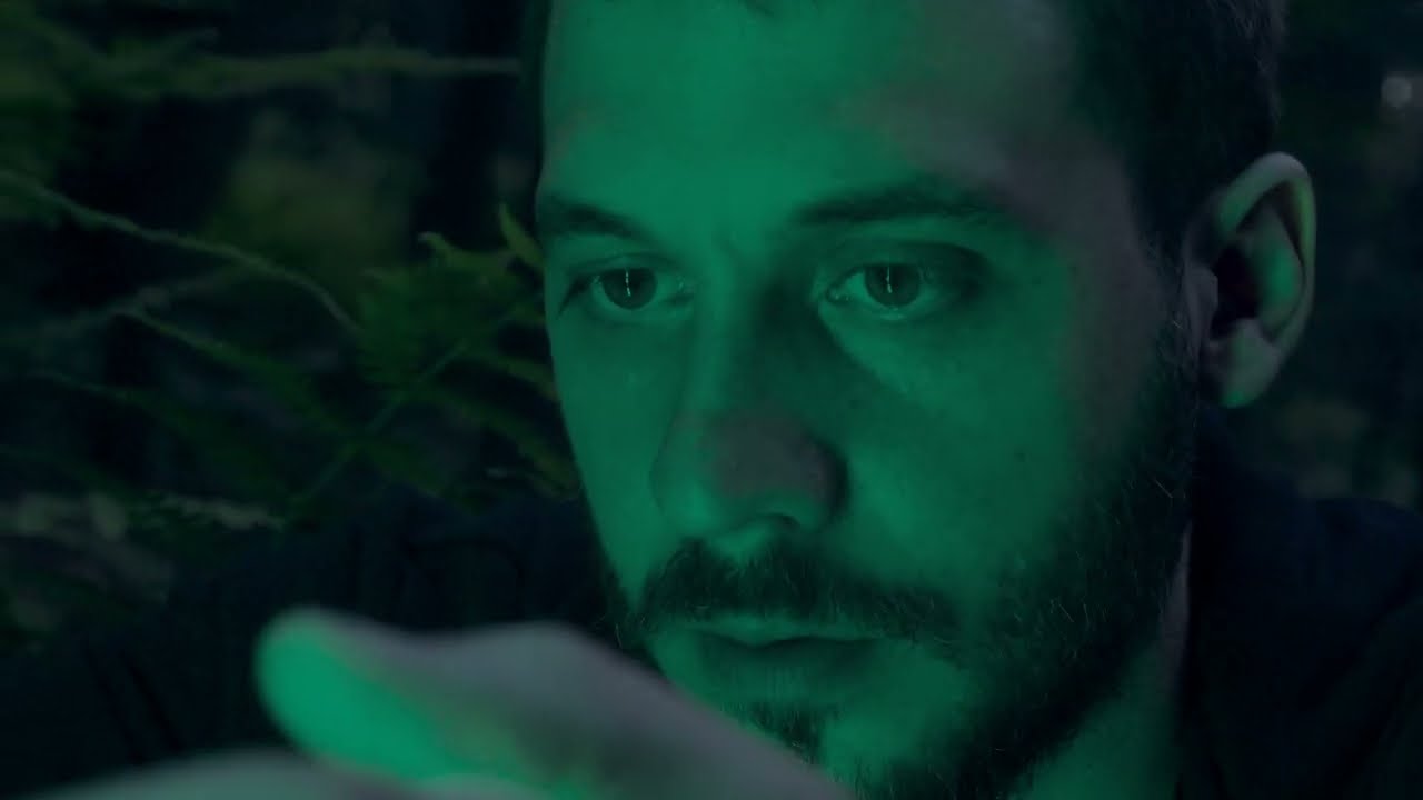 Masetti - Nepenthe
