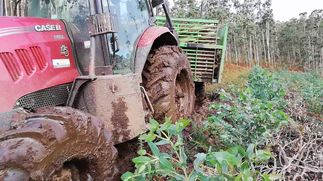 Case Puma 175 cvx forestal bajando al camino