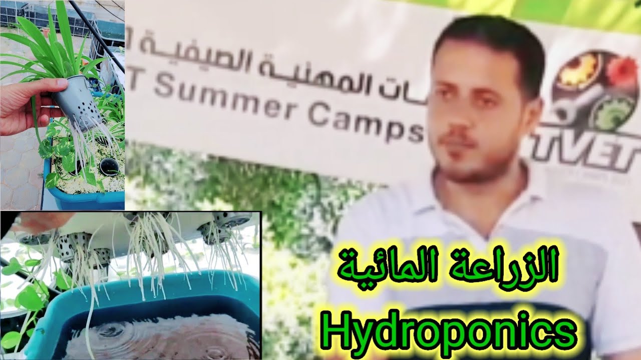 الزراعة المائية Hydroponics