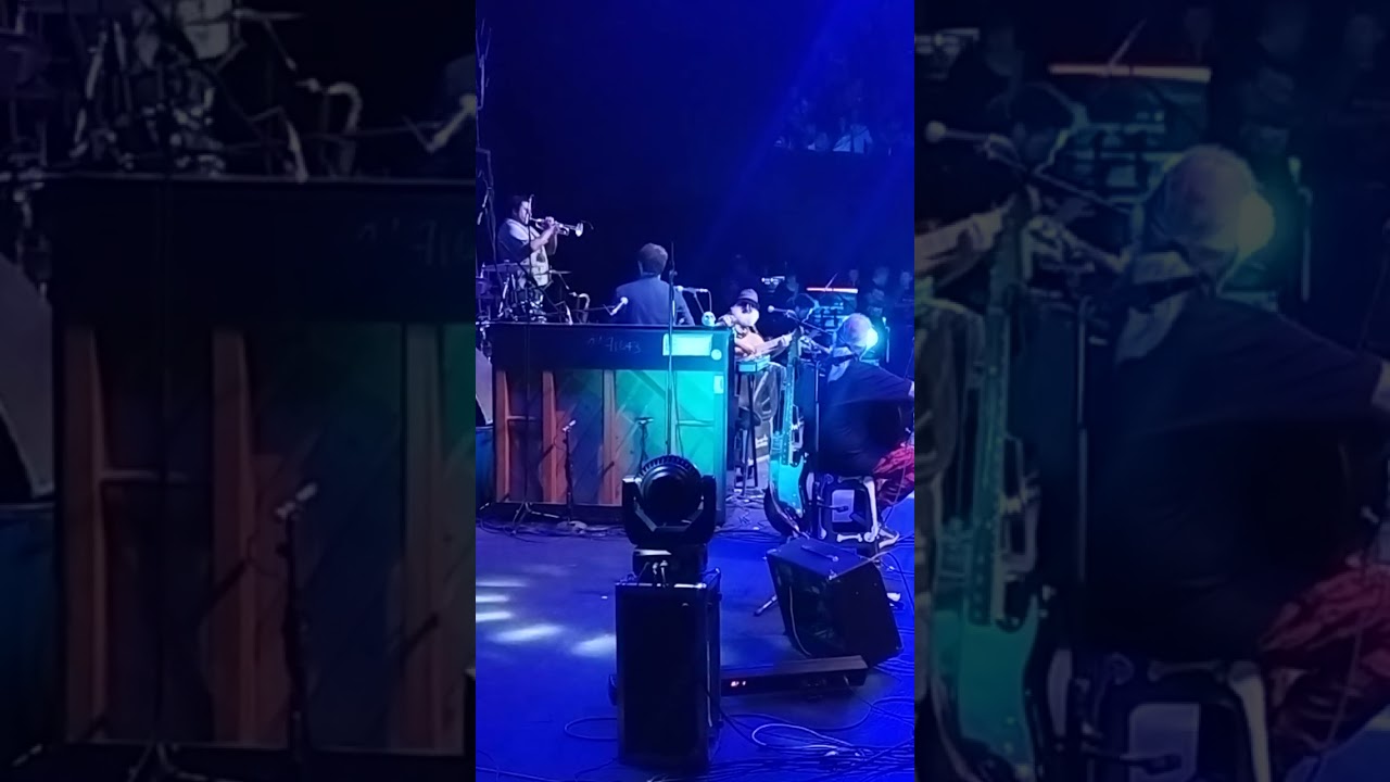 macha y el bloque depresivo - resaca sudaka
