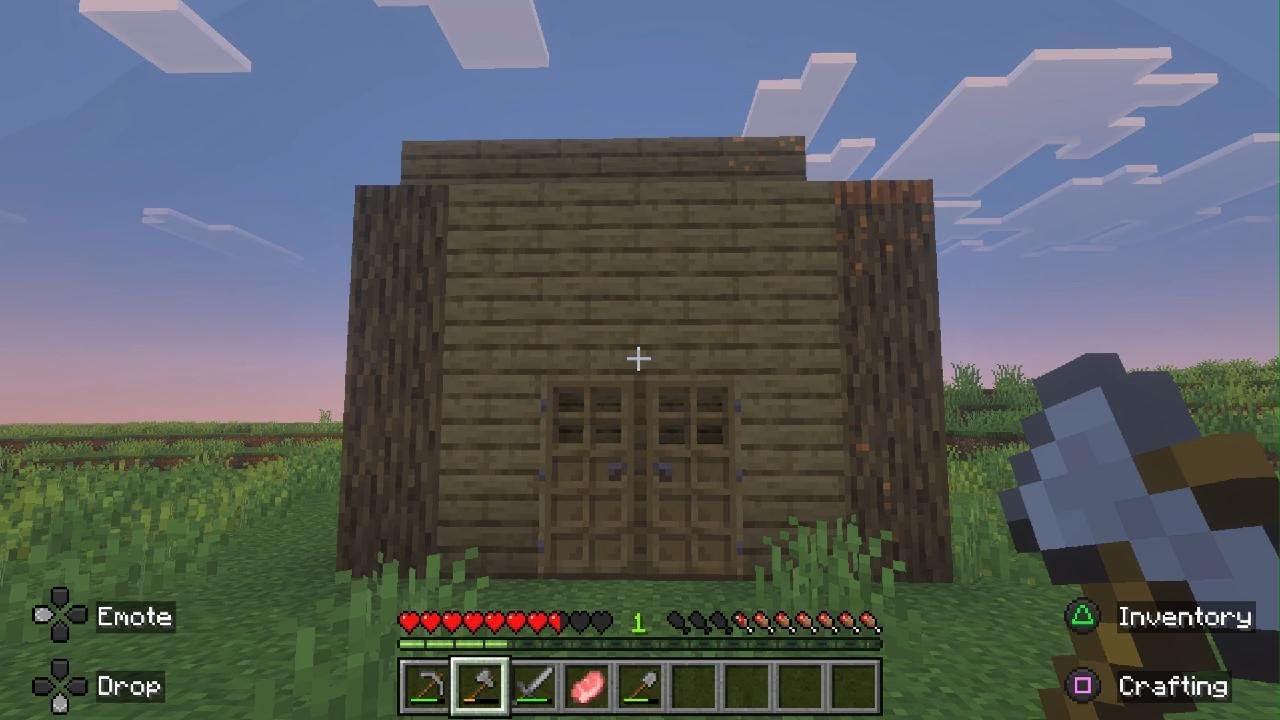 Minecraft boys 1