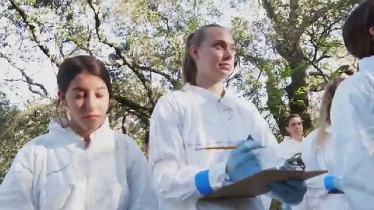 Teaching in the Field: Biology at Jasper Ridge