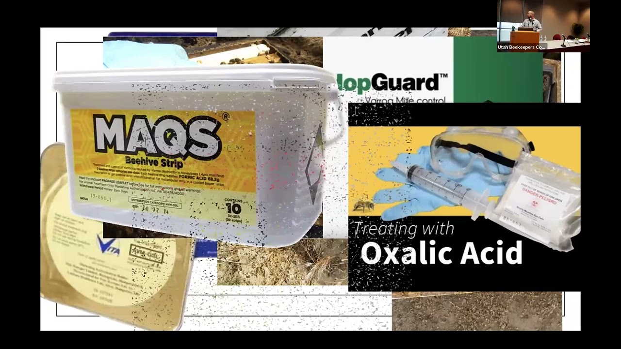Dr Brandon Hopkins - Three Years of Stabilized Oxalic Trials for Varroa Control - 240222