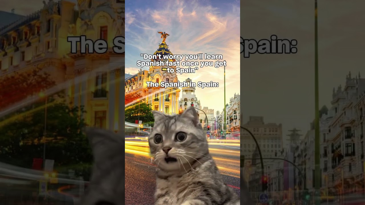 They said &bdquo;Being in Spain will make learning Spanish easy&rdquo;Spain: [speaks at 300 km/h] 🐱💨