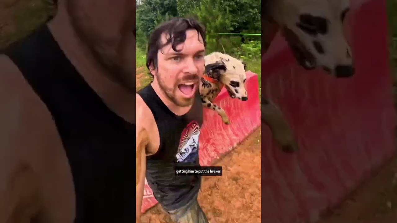 One World Canine Run is like a tough mudder but with your dog!