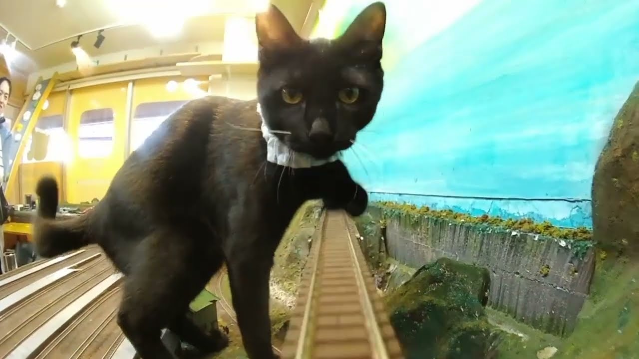 Would you still want to take this train under these circumstances?