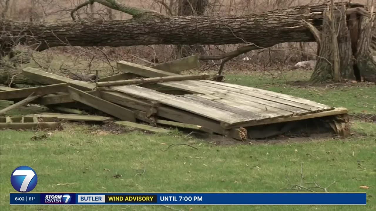 ‘It was chaos;’ Tree crashes into Shelby County home during morning storms | WHIO-TV
