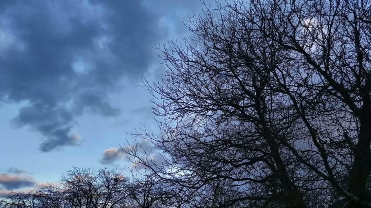 [FREE] | Electric Guitar x Hard Guitar Type Beat Chill Melancholy