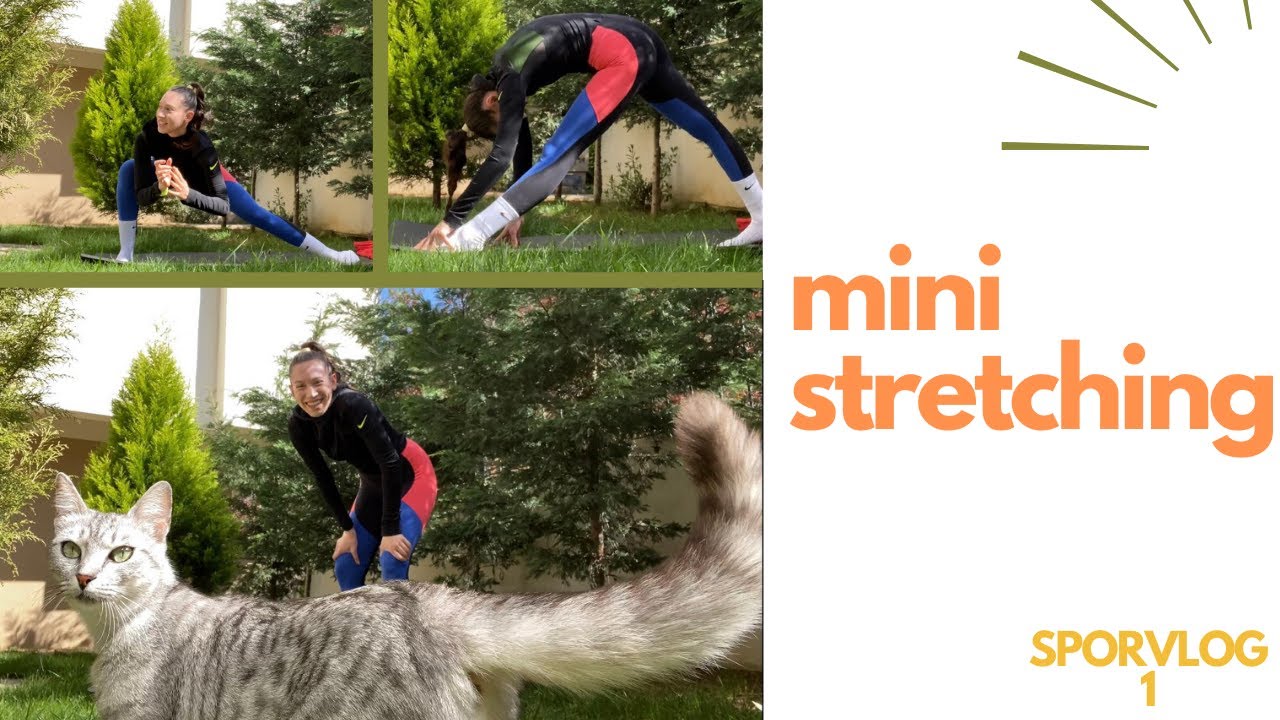 MINI STRETCHING
