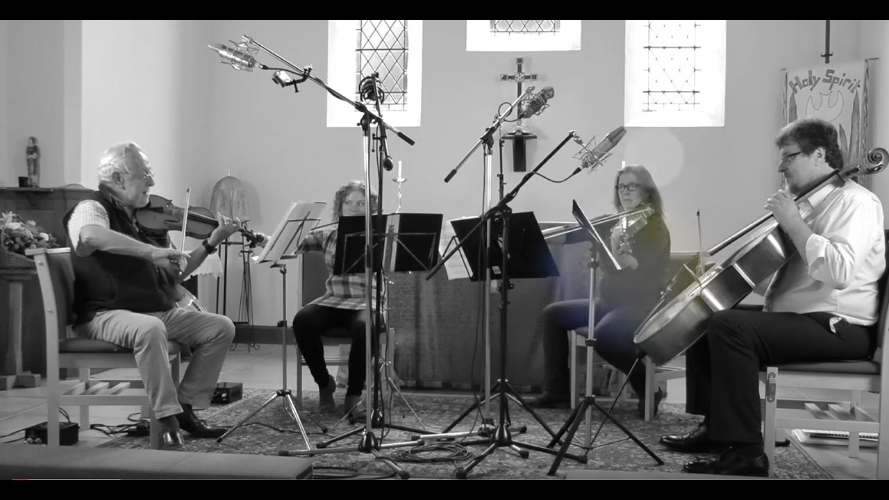 Skyfall performed by The Elite Quartet